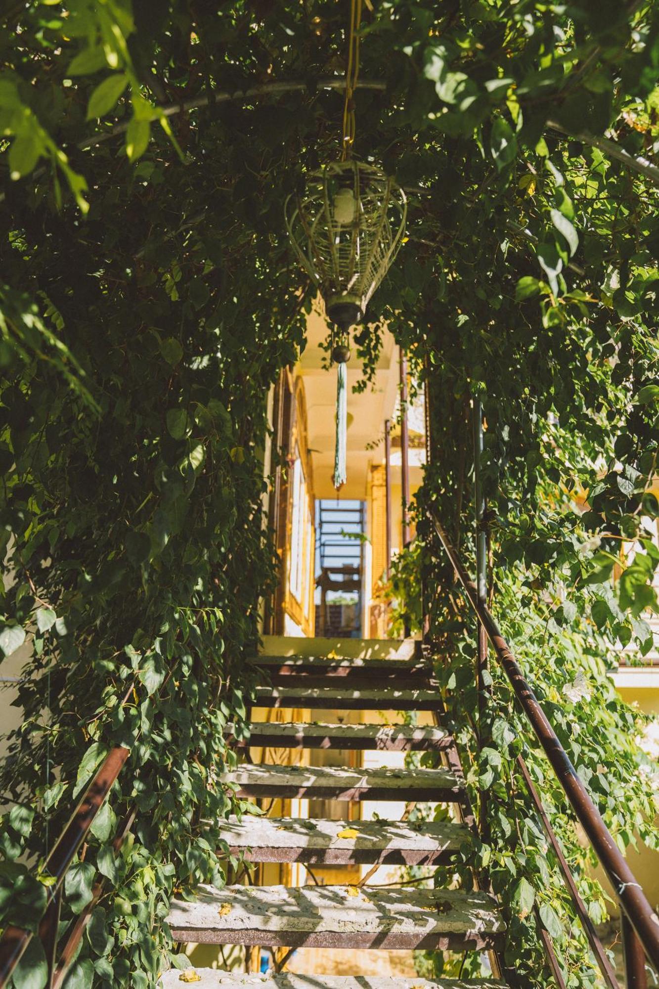 Trang An Central Homestay نينه بينه المظهر الخارجي الصورة