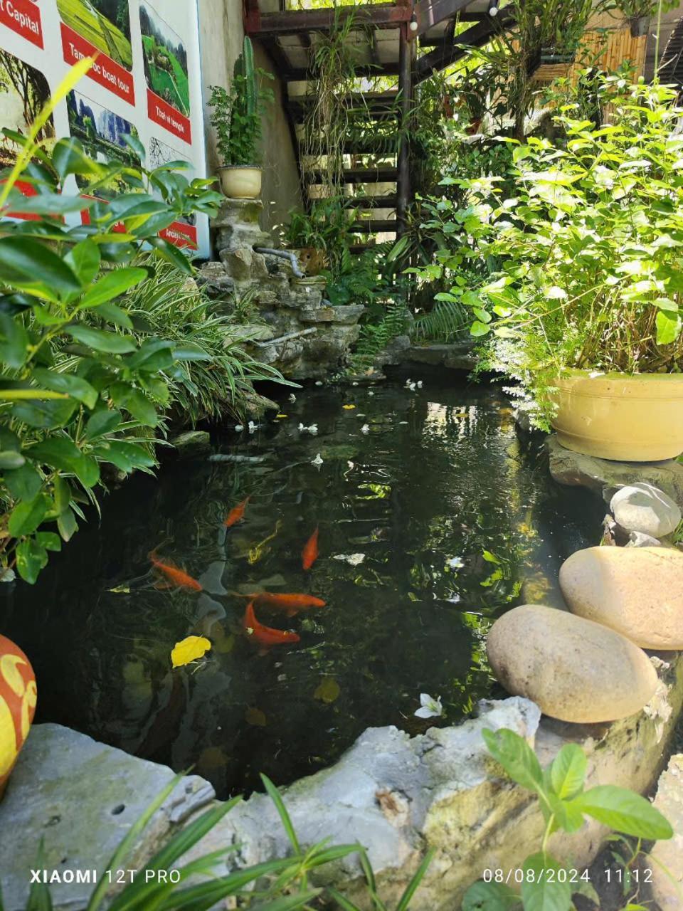Trang An Central Homestay نينه بينه المظهر الخارجي الصورة